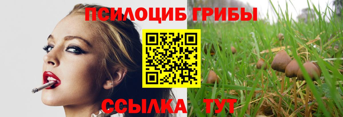 Галлюциногенные грибы прущие грибы  Вход с VPN  где найти наркотики  Псилоцибиновые грибы мухоморы  Лесосибирск 